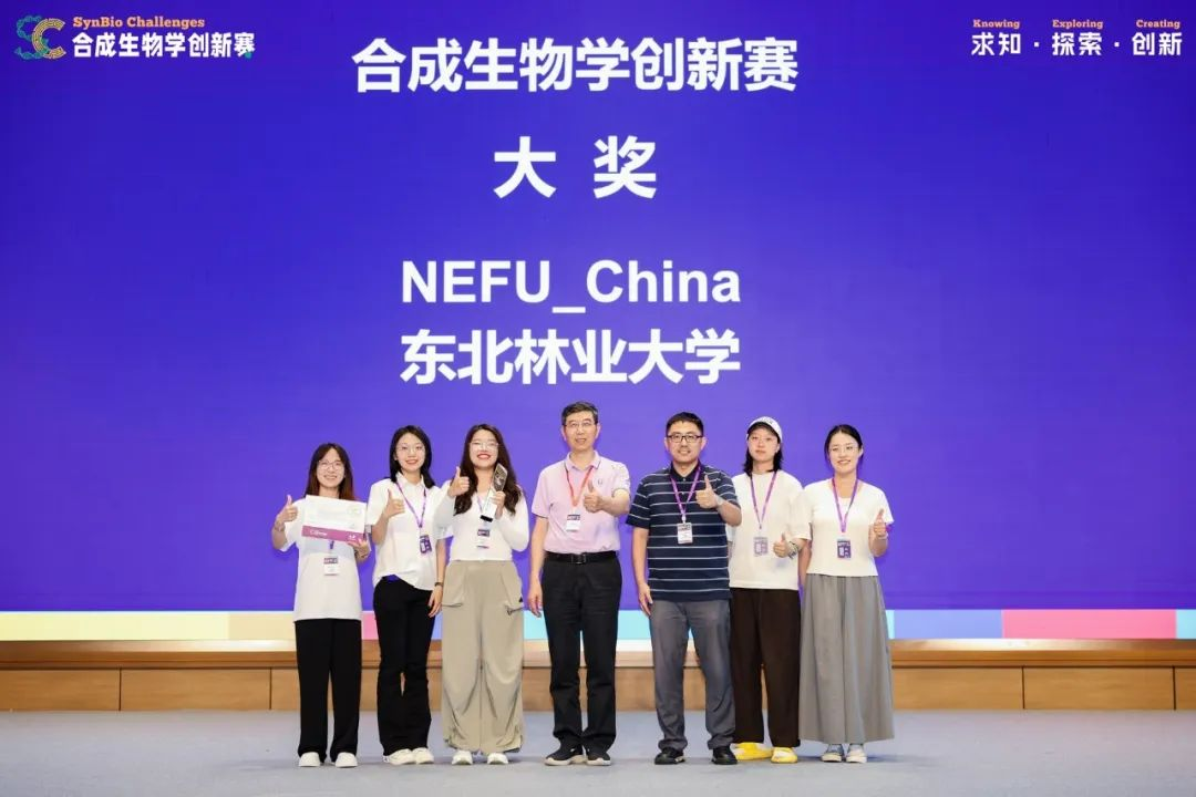 图片 4.png