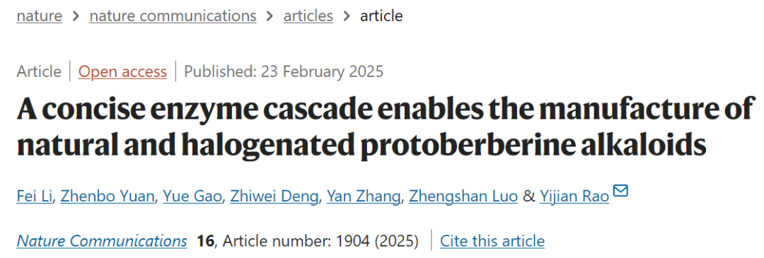 图片 2.png